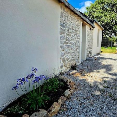 Gite De Felicite, Calme Et Nature Savenay Exterior foto